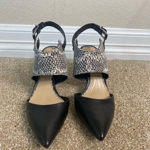 Giani Bini snake print pumps, worn once